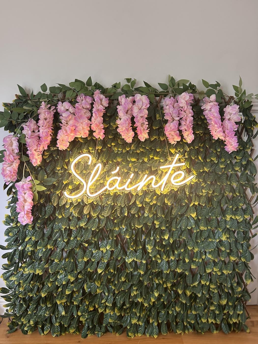 Sláinte Neon Sign